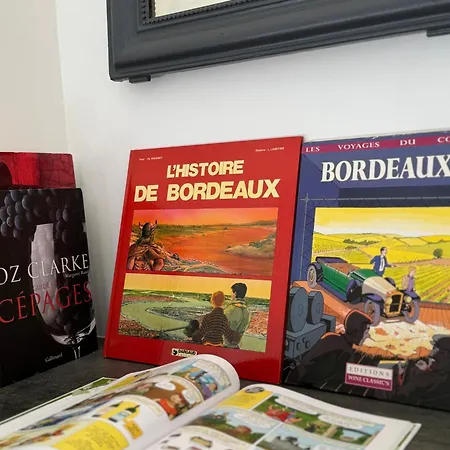Centre-ville Donnant Sur Cours Vegetalisee Apartment Bordeaux