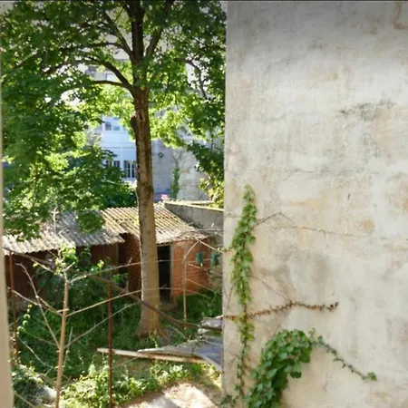 Apartment Centre-ville Donnant Sur Cours Vegetalisee
